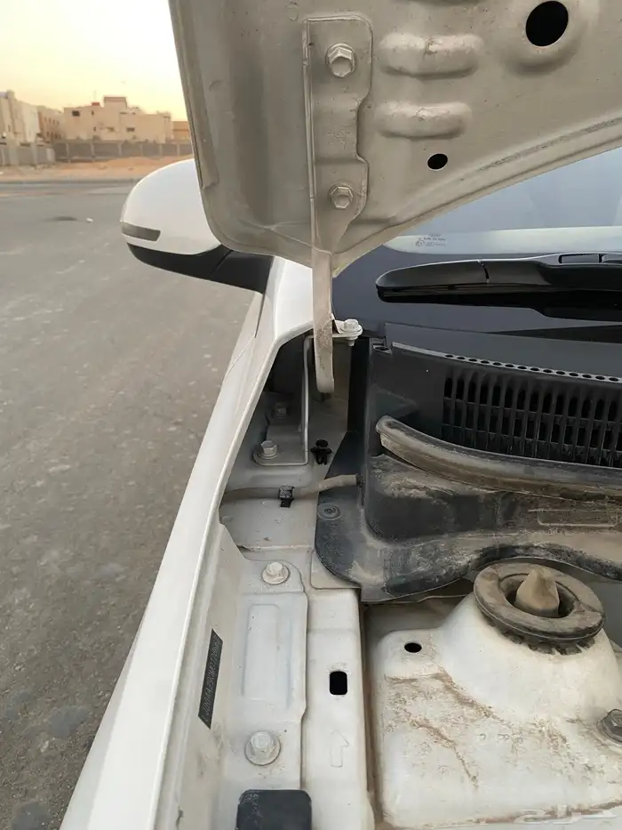 بيجاس 2021 18