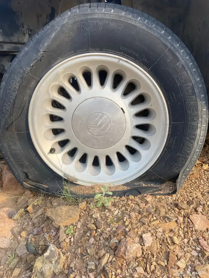 جنوط للبيع اصليه 9