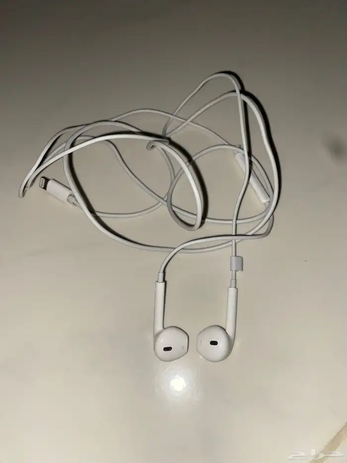سماعة وسلك شاحن Apple 0