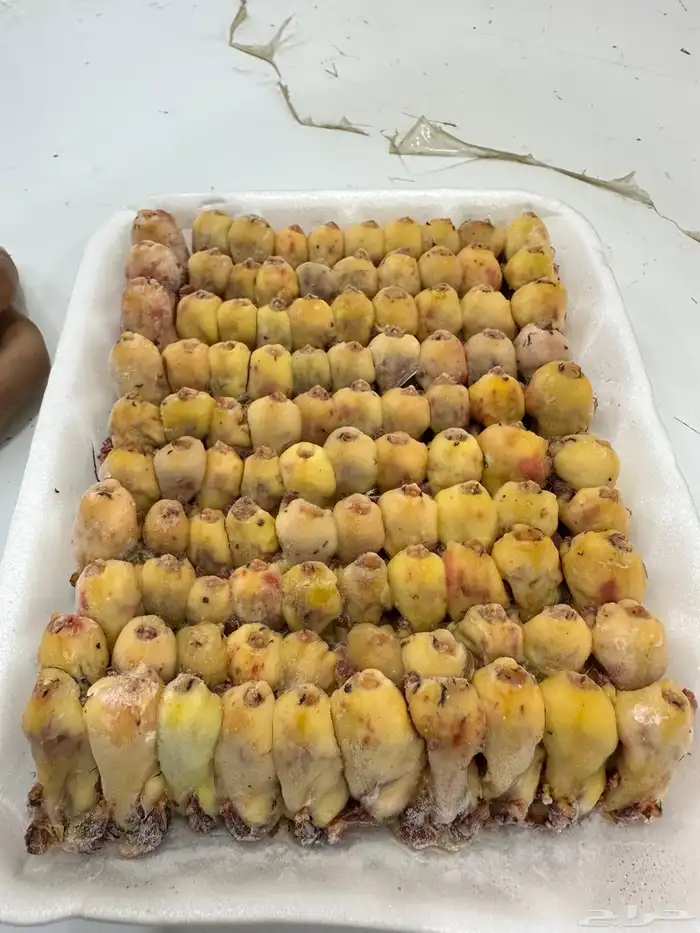 للبيع دخل 0