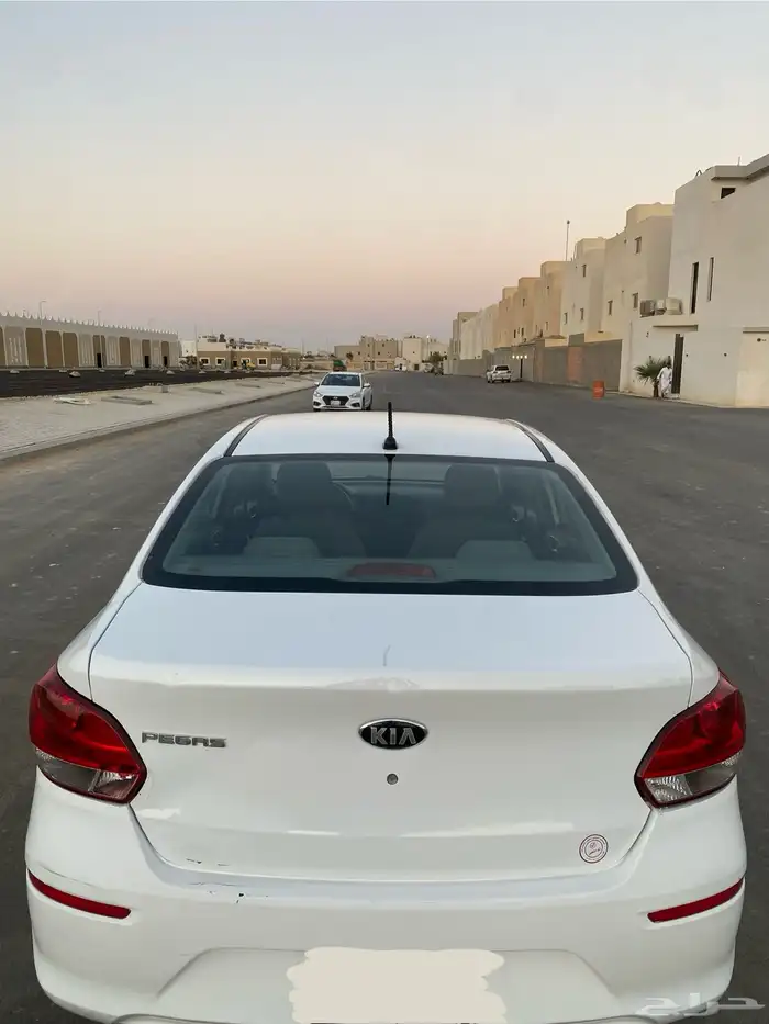 بيجاس 2021 9