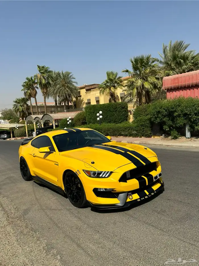 فورد موستنج GT موديل 2015 15