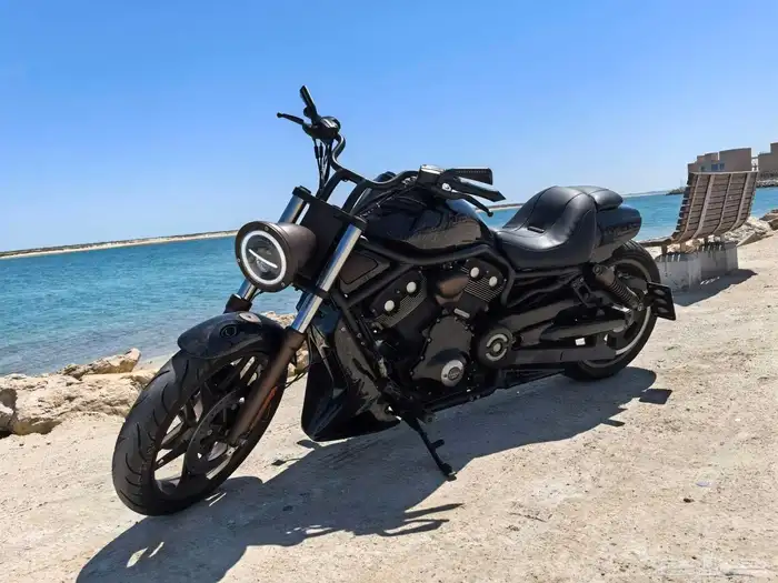 Harley Night Rod 2012 Full Custom 9