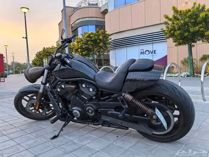 Harley Night Rod 2012 Full Custom 19