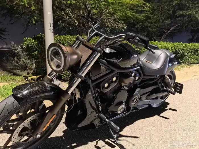 Harley Night Rod 2012 Full Custom 2