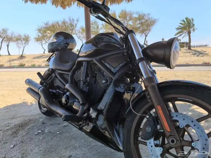 Harley Night Rod 2012 Full Custom 4