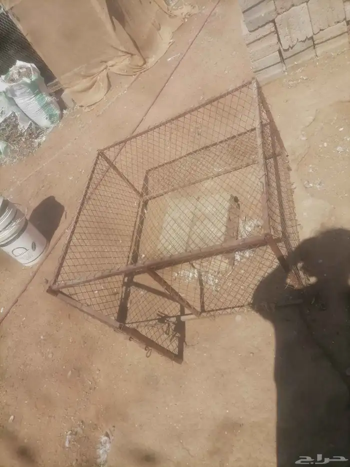 شبك وشبوك نقل 3