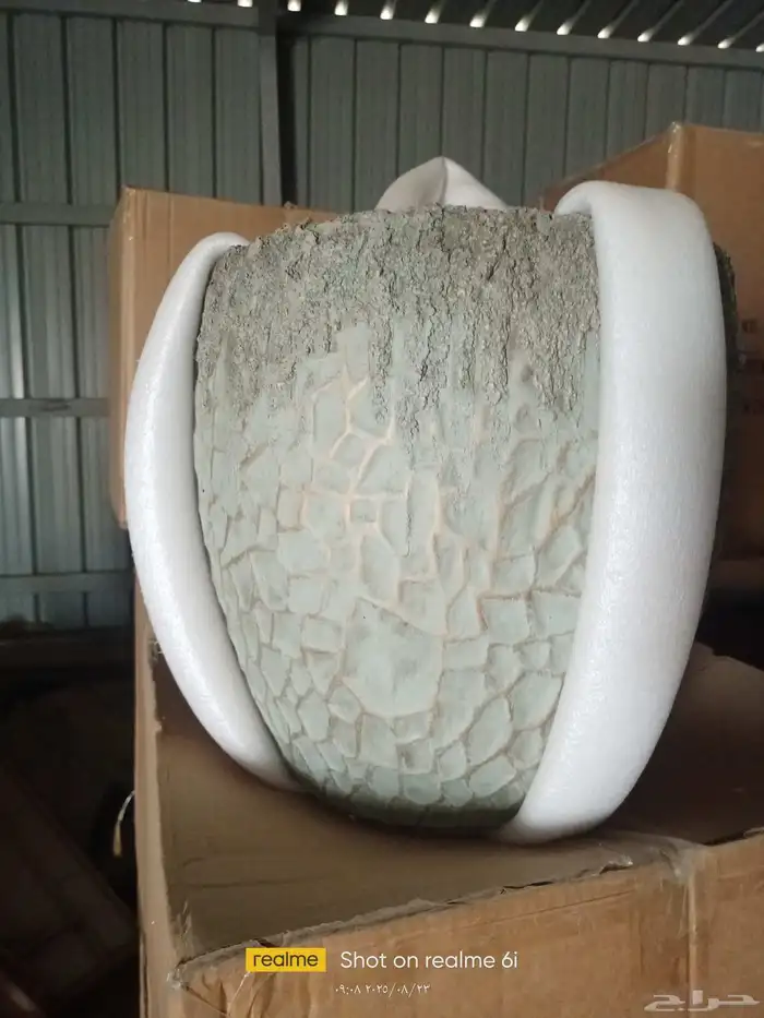 مركن جي ار سي و جي. ار بي 1