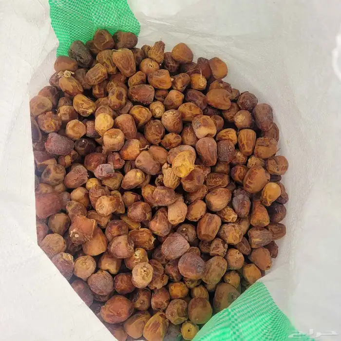 علف تمر 600 كيس ناشف حجر تم البيع 2