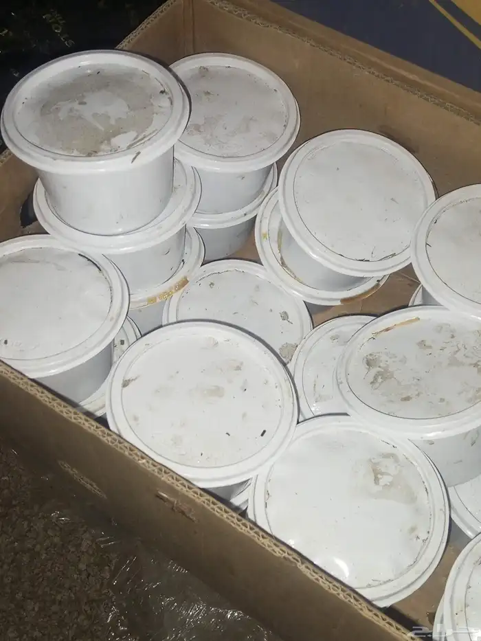 تمر صفري علب فول حجم كبير نص كيلو 1