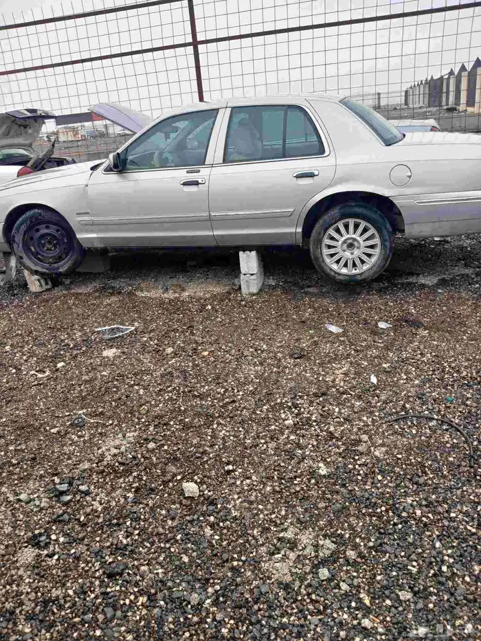 يوجد لدينامكاين فورد فكتوريا ماركيز وقيرات شد بلد ودفرنسات ك 2