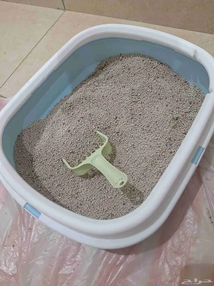 اغراض قطط 1