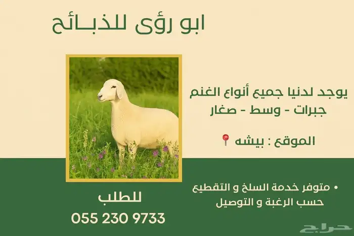 يوجد جميع انواع الذبائح كبار وسط صغار 0