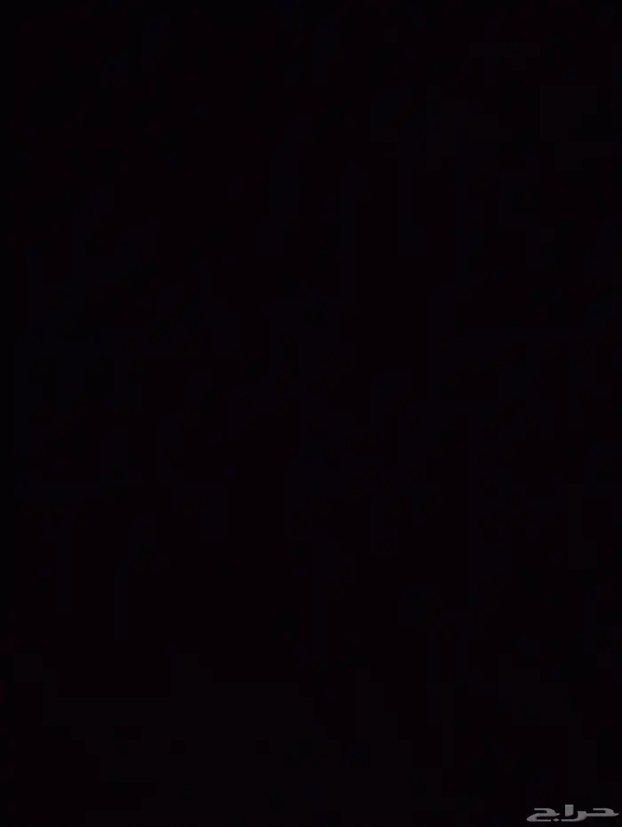 مطلوب ارانب شنشيلا أو فلاندر الماني 0