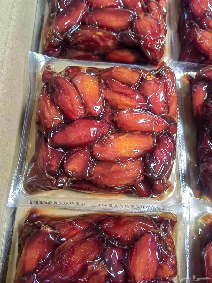 تمر صفري كبار 2