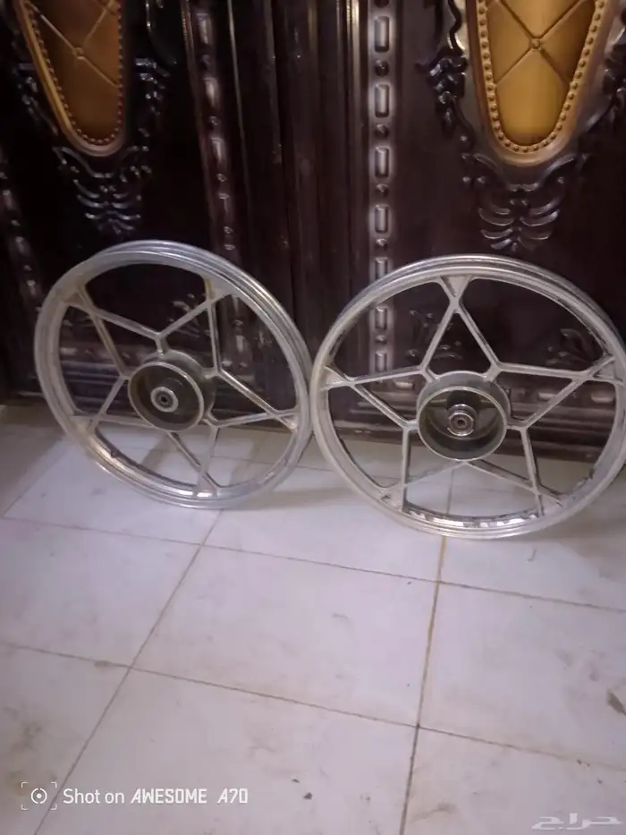 جنوط للبيع 1