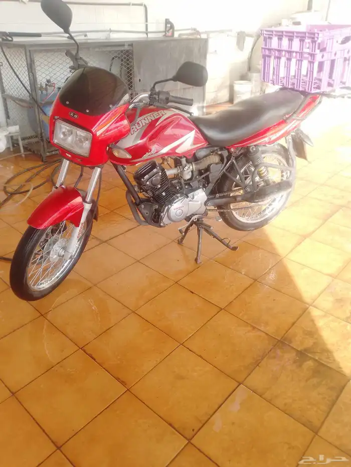 دباب للبيع 4