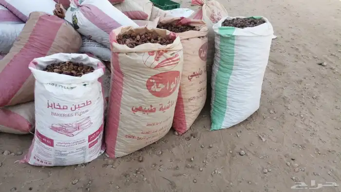 علف تمر 600 كيس ناشف حجر تم البيع 0