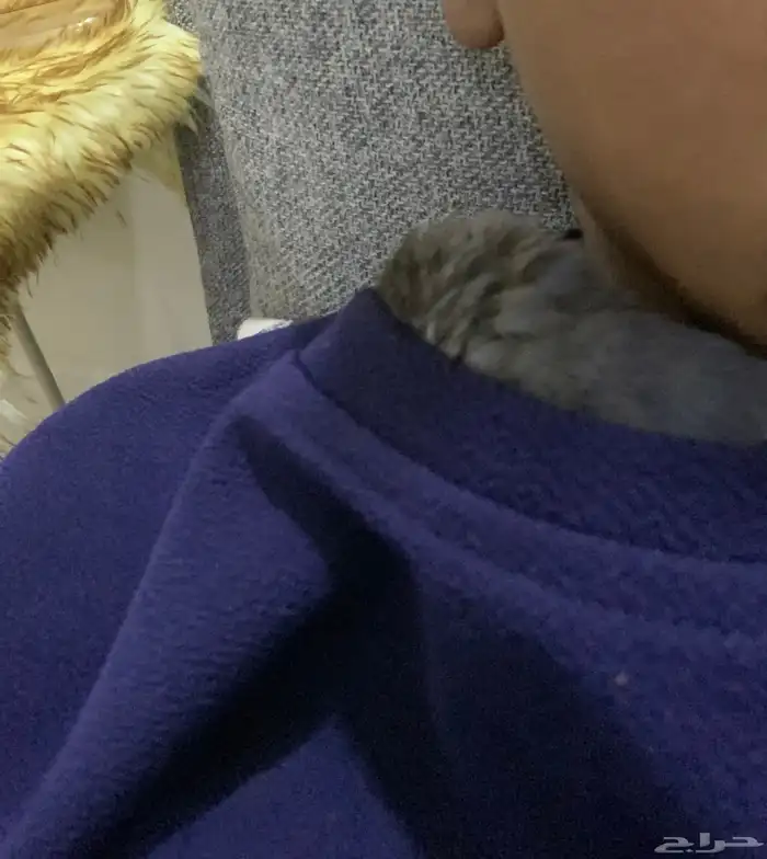 جوز روز اليفين جدا جدا جدا 10