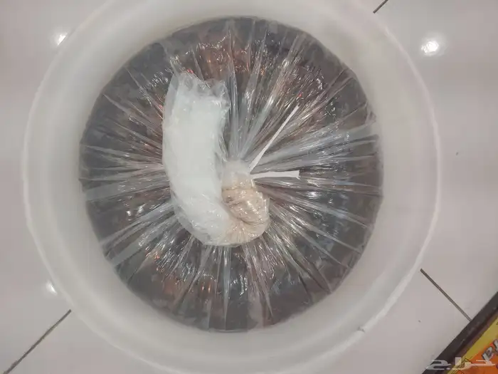 تمور حائل الفاخره 4