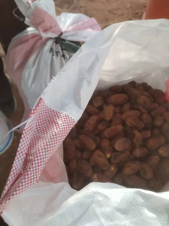 تمر حجف اعلاف للحلال 0