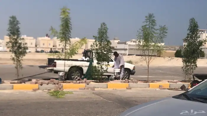 تنسيق الحدائق 2