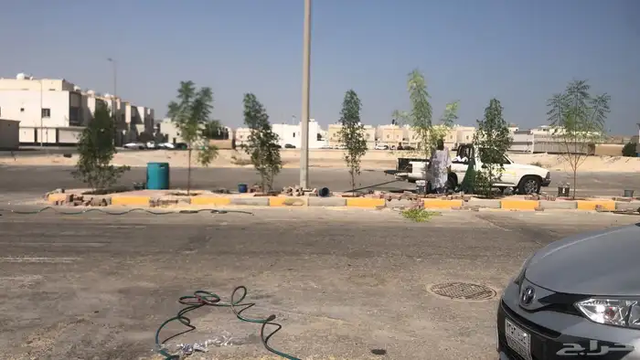 تنسيق الحدائق 3