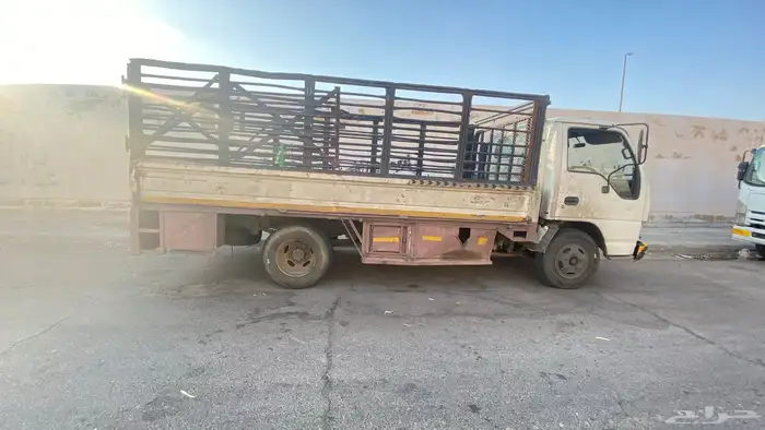 دينا ايسوزو 1