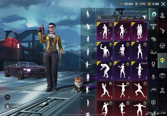 حساب ببجي للبيع 11