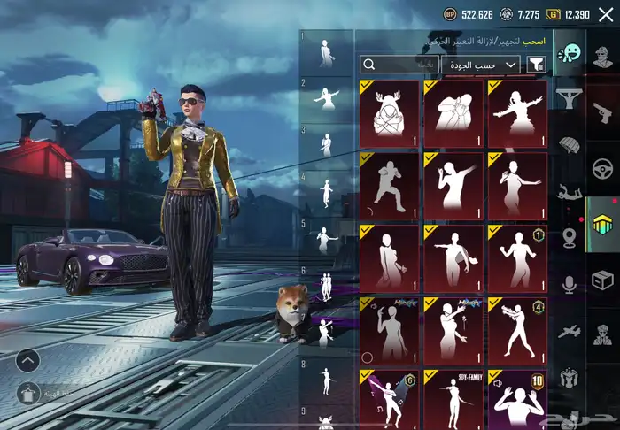 حساب ببجي للبيع 13