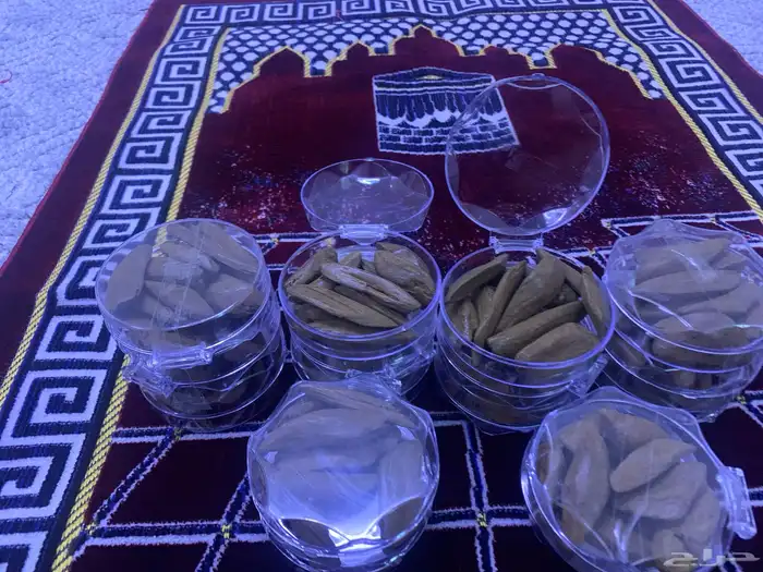 عود ورومي محسن بيور 1