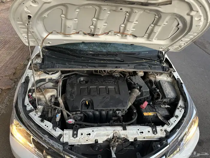 كورولا 2018 11