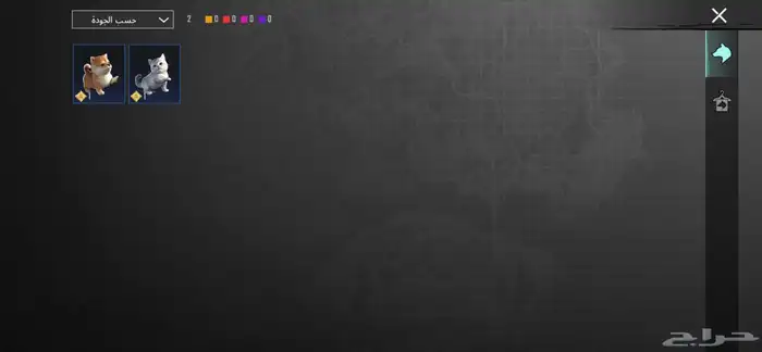 حساب ببجي للبيع البدل بحساب تيك توك 15