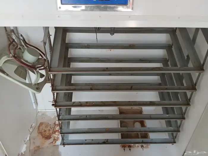 فقااسة 1056 بيضة مستعملة نظيف للبيع 0