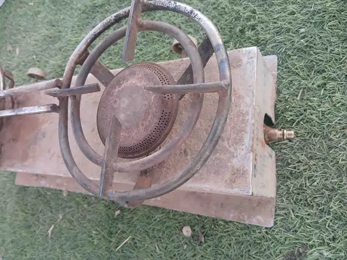 قز عينين مستعمل. شغال 2
