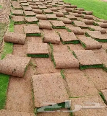 ثيل طبيعي توريد وتركيب شبكه ري اتوماتيك وعشب صناعي وشلالات 9