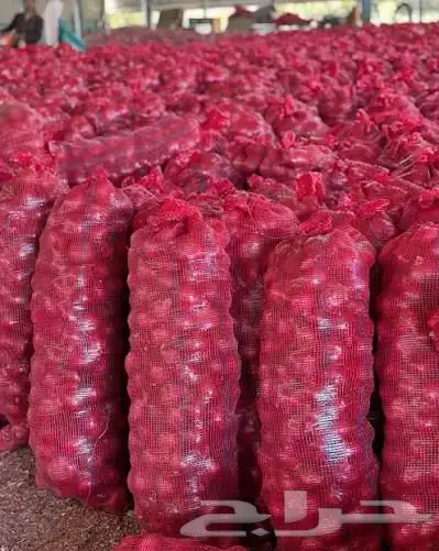 مبسط محل بصل وبطاطس للايجار 2