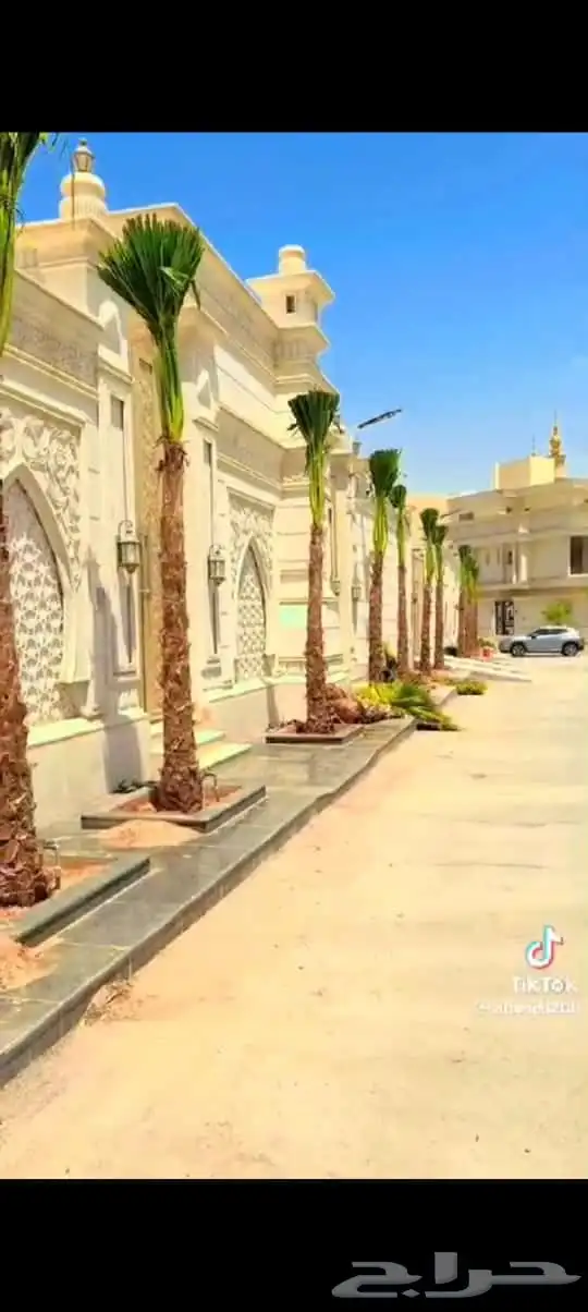 نخيل واشنطن 2