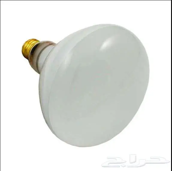 أضف لمسة فخامة لمسبحك مع كشافات الإضاءة الفاخرة 6