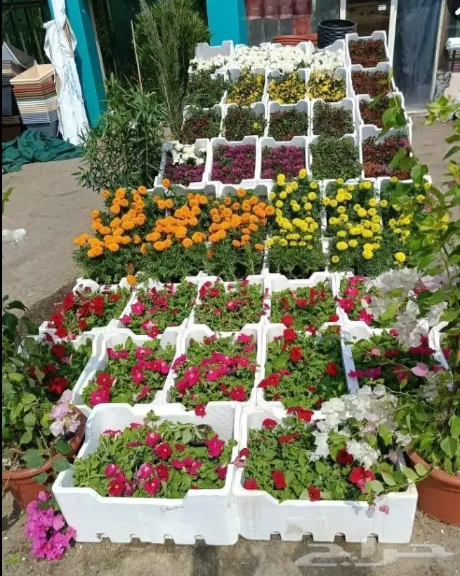 مزارع ومنسق حدائق 9