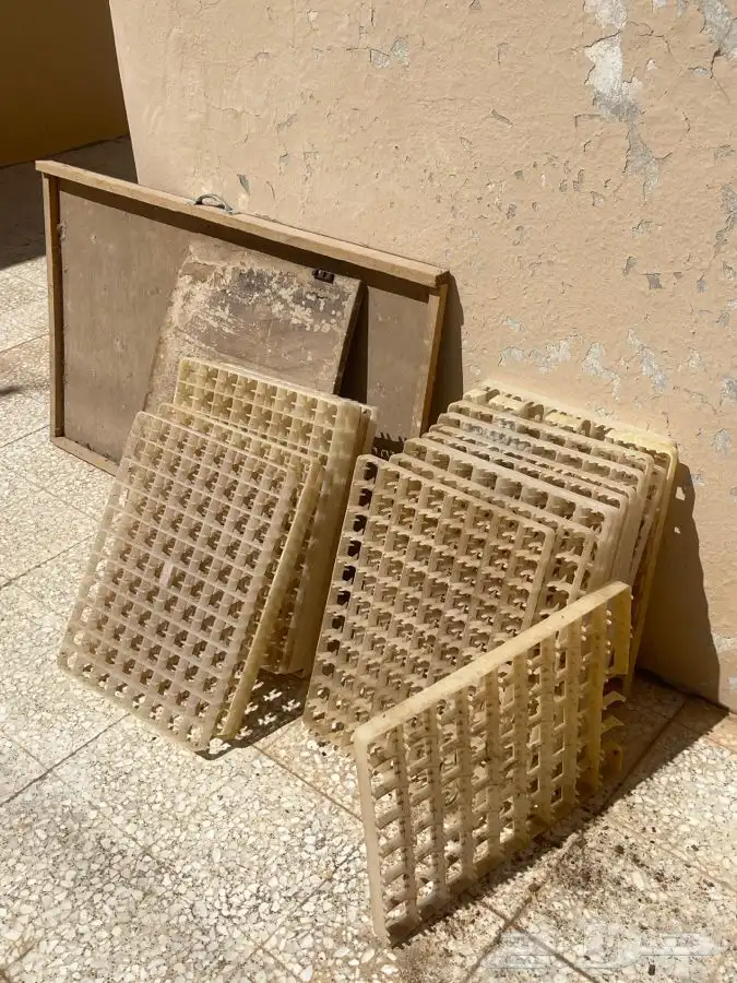 فقاسة تماتيك وحضانة صوص 2