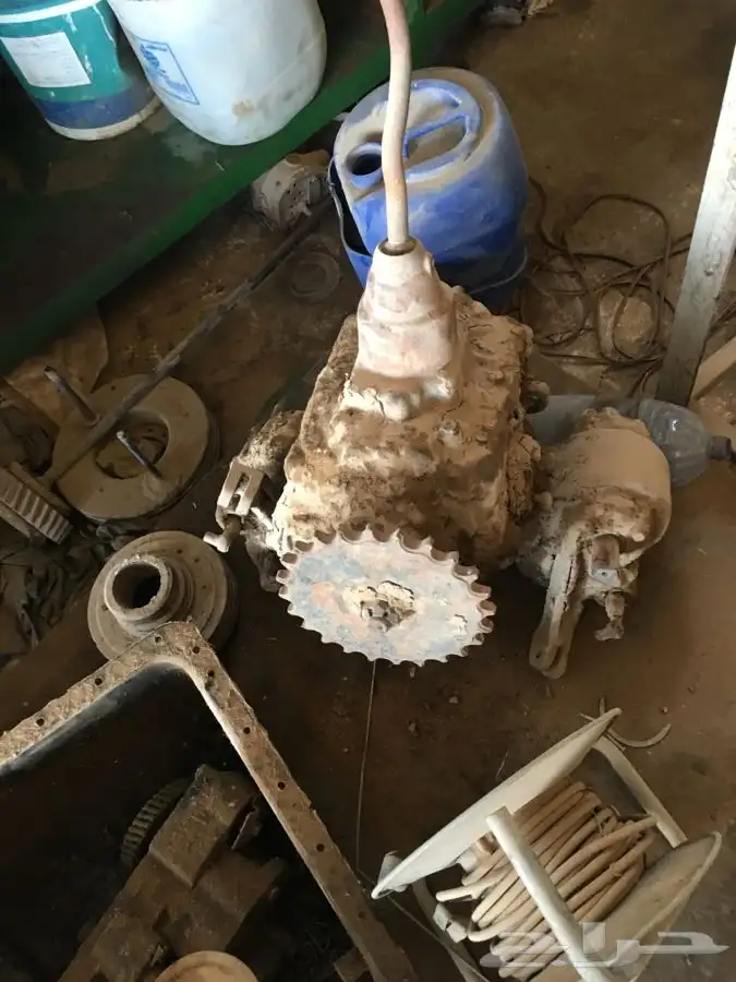 قير مع فرختين 2