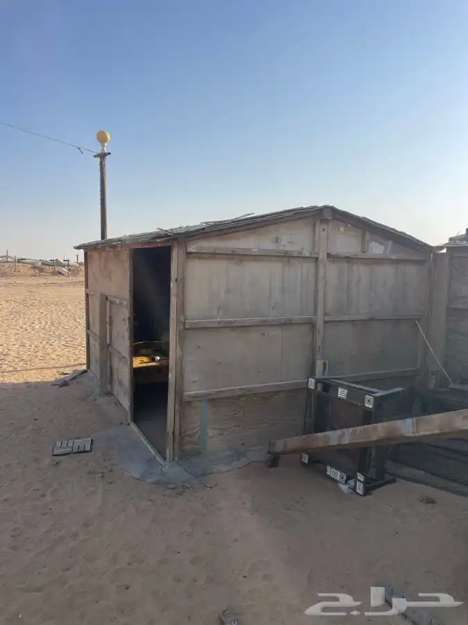 للبيع عقم كبير شبوك ابل حضاير غنم في برمه 5