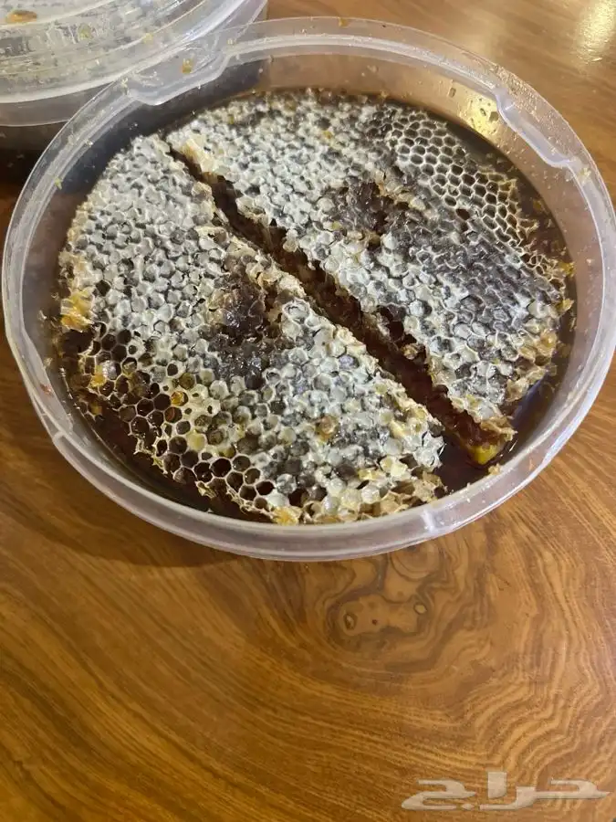 عسل حر شرط 3