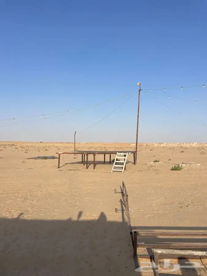 للبيع عقم كبير شبوك ابل حضاير غنم في برمه 4