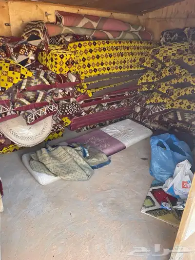 للبيع عقم كبير شبوك ابل حضاير غنم في برمه index