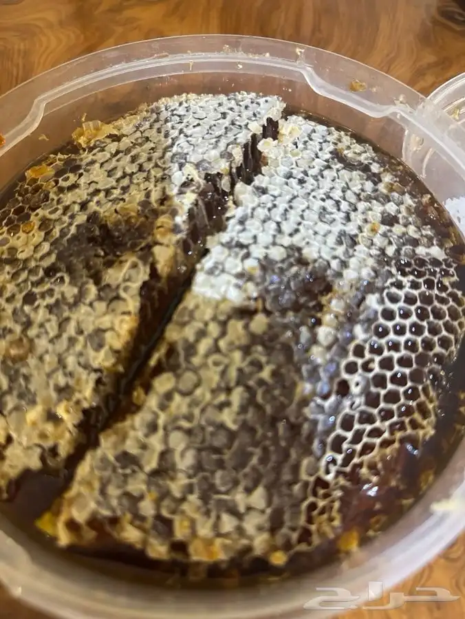عسل حر شرط 7