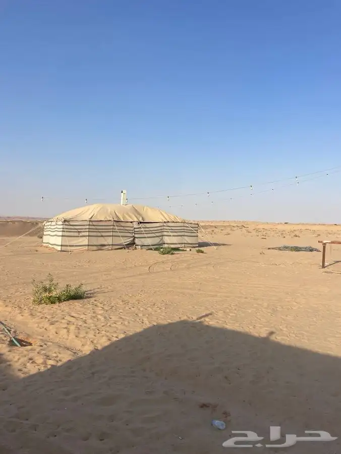 للبيع عقم كبير شبوك ابل حضاير غنم في برمه 0