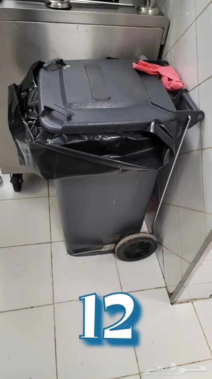 الرياض 43
