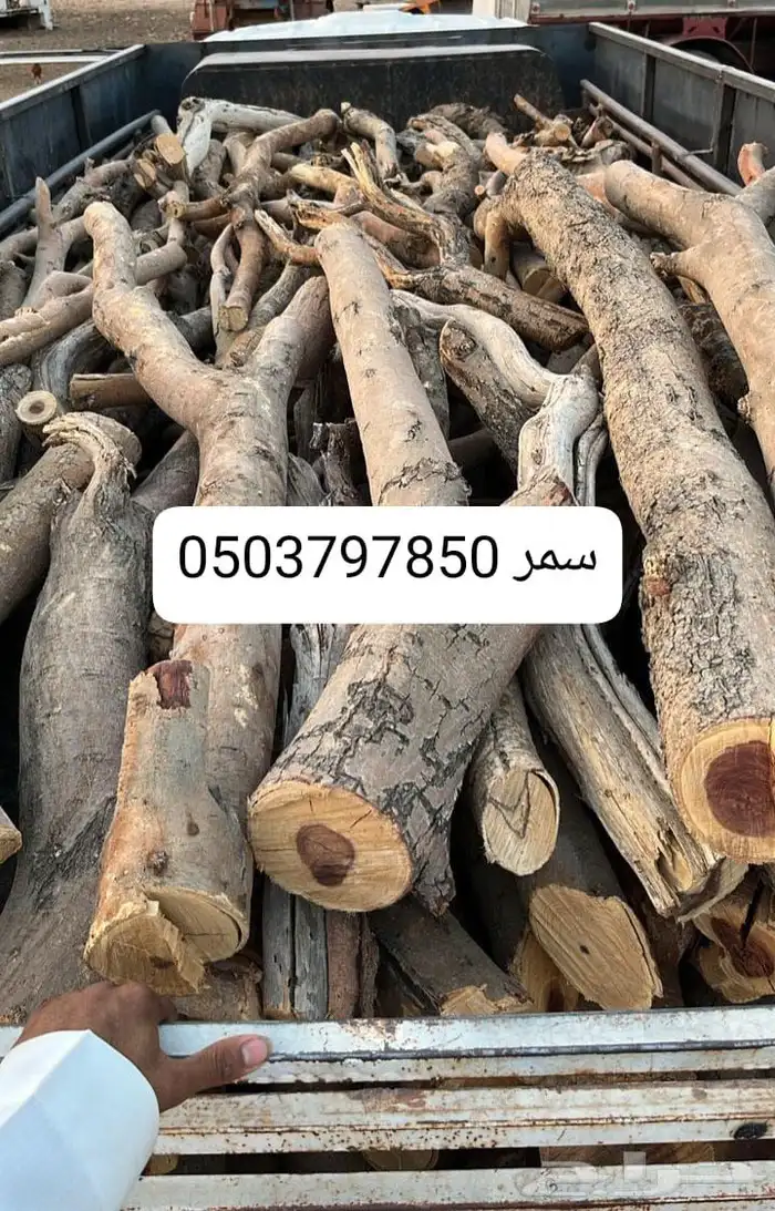 حطب مستورد سمر المدينه 0